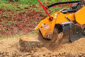 Best Pest Control for Lawns  in Centralia, WA